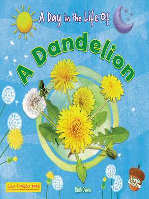 cover image of A Dandelion